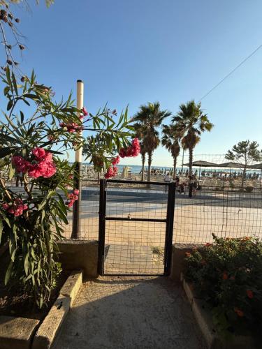 MarinAri Home, Durrës