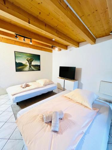 Ferienwohnung Südtor (Ferienwohnung Sudtor) in 弗賴貝格