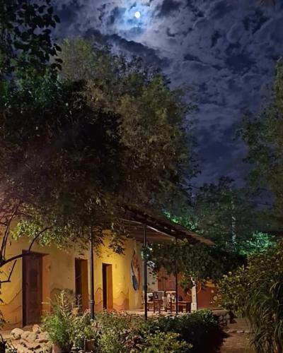 Las Cañas