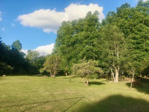 Cabana Celeste - Acceso directo a playa lago Caburgua y cancha de tenis - direct access Beach in Cab in กาบูร์กวา