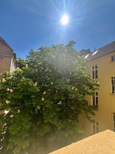 Charming Flat in Creative East Berlin, Берлин (фото 6)