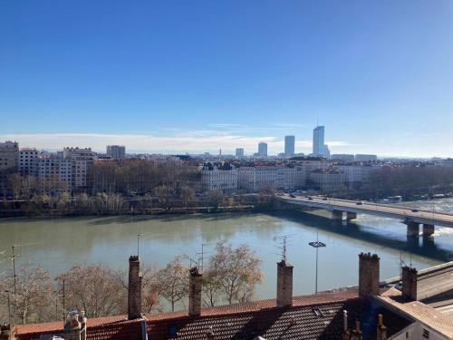 Authentique T2 lyonnais avec vues exceptionnelles - Location saisonnière - Lyon