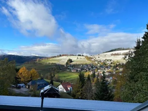 Ferienwohnung Naturverliebt im Schwarzwald - mit Sauna und Panoramabalkon, direkt an Skipiste und Wanderwegen in Todtnauberg, Deutschland