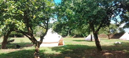 tente western in Hennebont