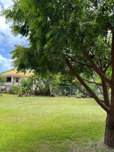 Cherry Blossom Cozy Apartment in Becke Moui
