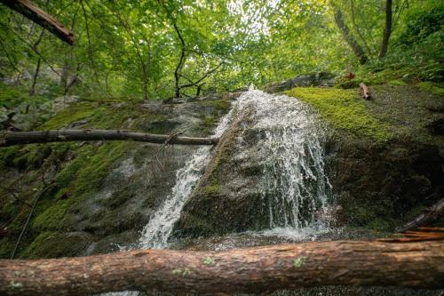Sunset Cabin Privacy, Views, HotTub, Firepit, BBQ, Pets in Rileyville
