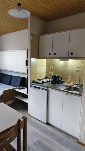 Apartment in Las Leñas, Las Lenas (fotografie 4)