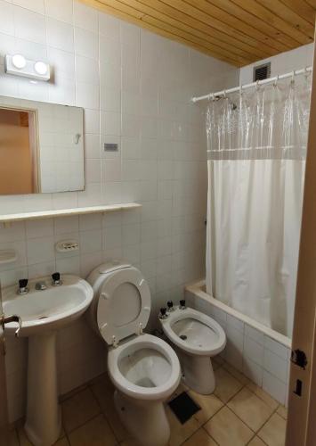 Apartment in Las Leñas, Las Lenas (fotografie 6)