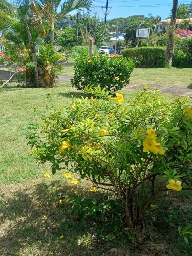 Jardín, PeachBloom Tereace Inn in St Georges