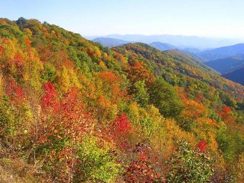 Absolutely Gorgeous, Modern Comfy Retreat W Hot Tub, Game Room, & Fire Pit! in Sevierville, USA