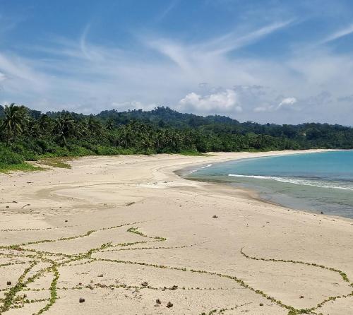 LJ'S CASA DE PLAYA  in Dilasag