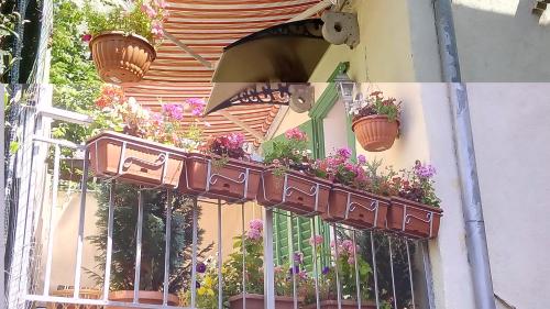 Apartman Đurđica - image 12