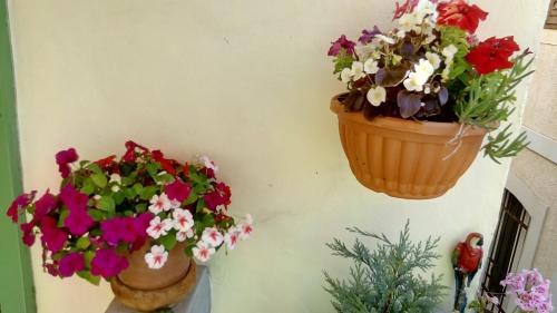 Apartman Đurđica - image 10