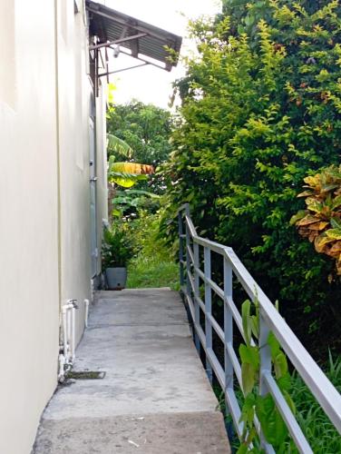 View, Daniel's comfort in Canefield