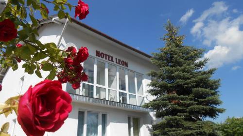 . Hotel Leon