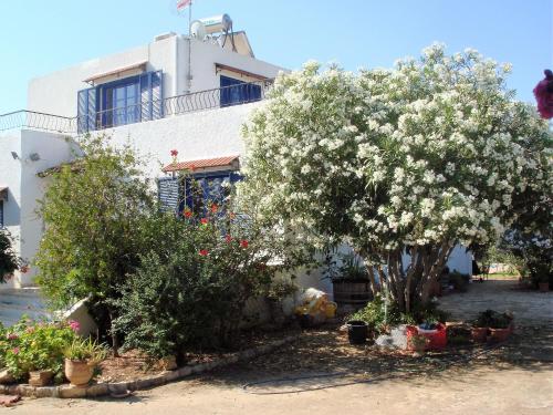 Yianna's Home - image 2