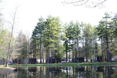 Alpine Lake Lakefront Cabin 5 thumb 4
