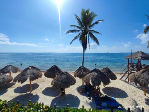Casa Cebra by the beach -Roof top lounge! Playa del Niño, Cancún (fotografie 8)