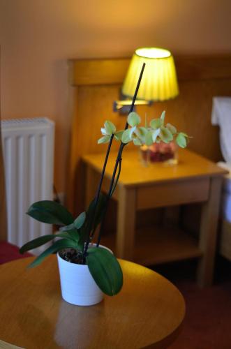 Hotel - Restaurant Gonduzo - image 14