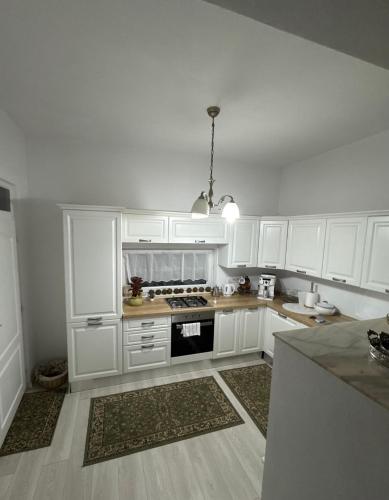 virtuve, Villa Viktória (Villa Viktoria) in Lunca De Sus