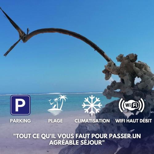 Les Zoizeaux - plages - parking - clim - wifi