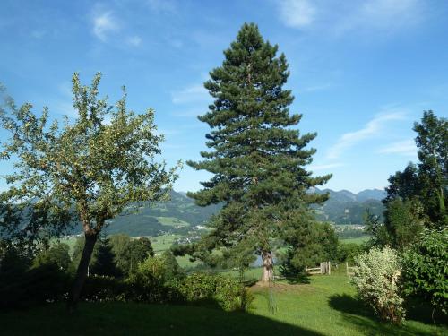 Schöne Aussicht - main image
