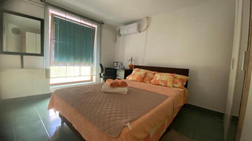 Cozy Corner Zrenjanin - Location saisonnière - Zrenjanin