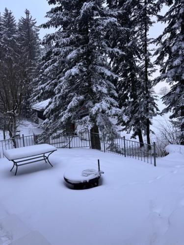 Ferienhaus Waldklause in ชวาร์เซนแบร์ก