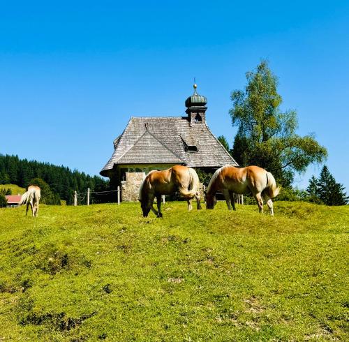 Ferienhaus Waldklause in ชวาร์เซนแบร์ก