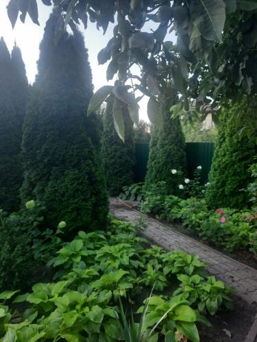 Дом, Odessa