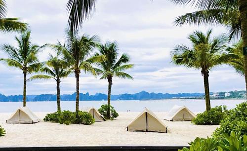 Condotel - Alacarte Ha Long -By Nga - 해변