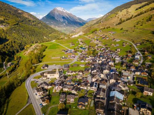 Swiss Alps Coliving Community Stay for Remote Workers in Liddes