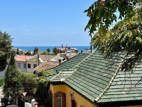 The Olive Tree House, Málaga (fotografie 2)