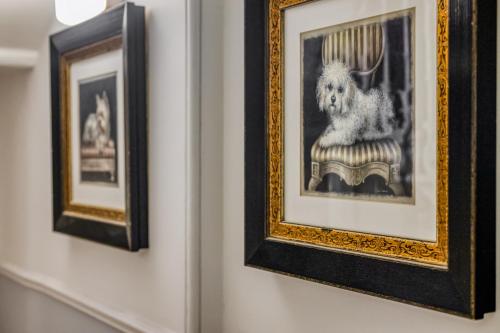 Opulence Boutique Hotel – London