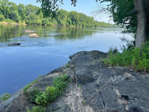 Riverview Cabin on the James in Scottsville (VA)