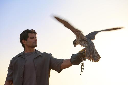 Al Maha, a Luxury Collection Desert Resort & Spa, Dubai