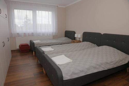 Szemerey Pince Apartman in Hajós