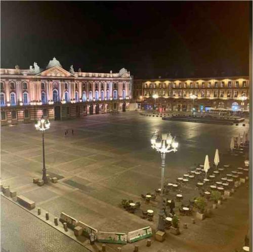 Capitole Horizon, Toulouse (fotografie 7)