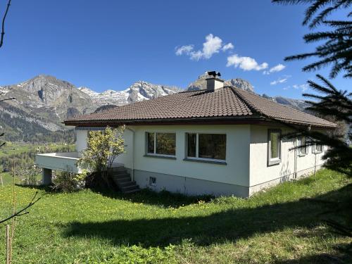 Jambo Pua in Alt Sankt Johann, Schweiz