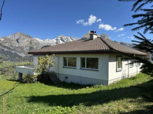 Jambo Pua in Alt Sankt Johann, Schweiz