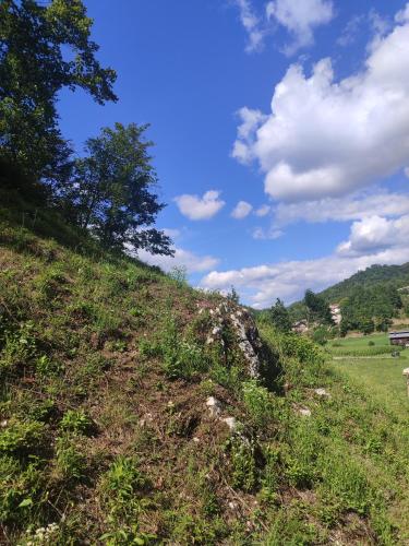 Vikednica ZEA in Martin Brod