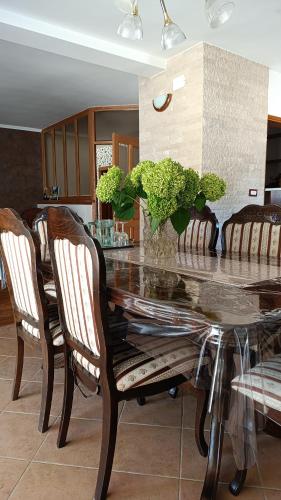 Casa Kaja in Mali Ogradenik