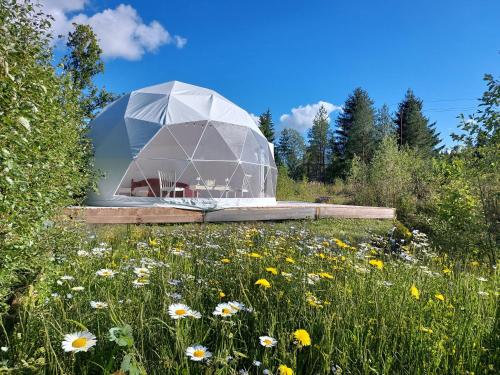 . Bubble House glamping telk