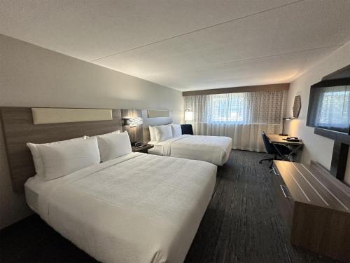 2 queen beds