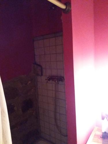 Carpe Diem Carpe Diem