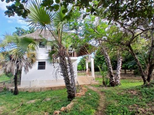 Sea Soul Sanctuary in Shimoni