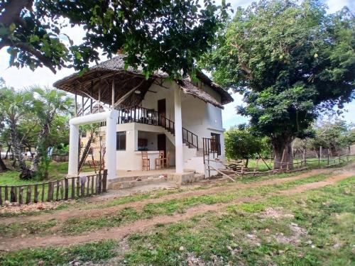 Sea Soul Sanctuary in Shimoni
