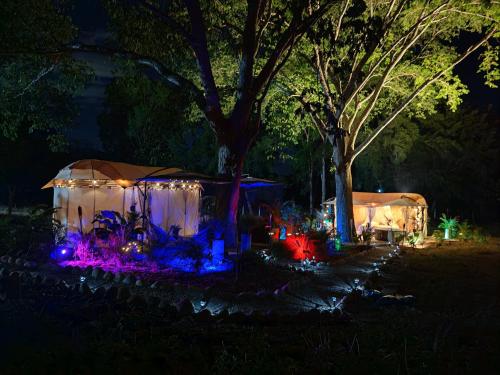 Surrounding environment, Novaglamp Alma, amor y bosque in Agua de Dios