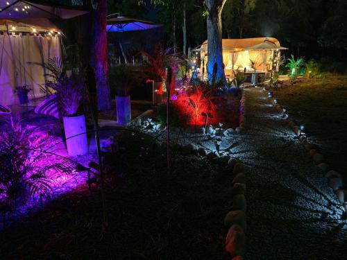 Surrounding environment, Novaglamp Alma, amor y bosque in Agua de Dios