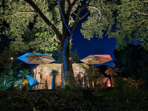 Surrounding environment, Novaglamp Alma, amor y bosque in Agua de Dios
